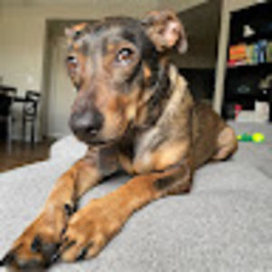 Meet your Posher, Jonah